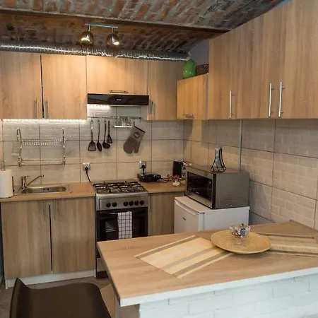 Loft Apartament 卡托维兹