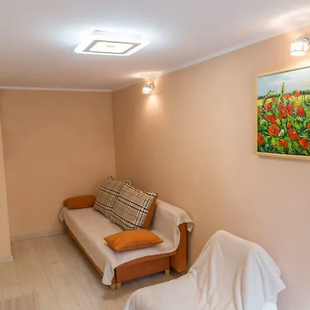 Loft Apartament 卡托维兹