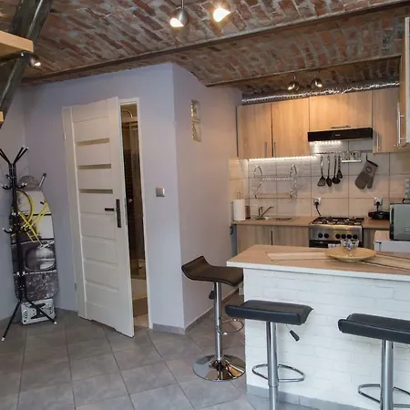 Loft Apartament * 卡托维兹